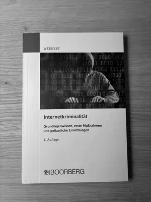 Internetkriminalität