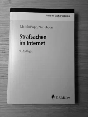 Strafsachen im Internet